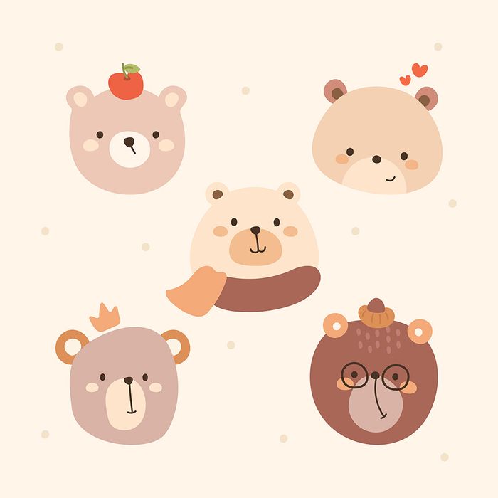 Hình ảnh khuôn mặt chú gấu cute file vector mẫu CR173