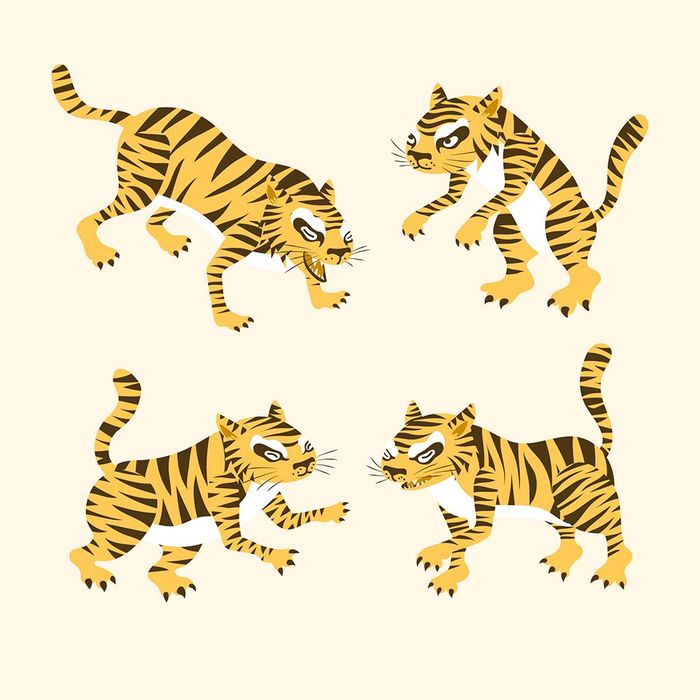 Hình ảnh chú hổ vằn file vector mẫu CR1508