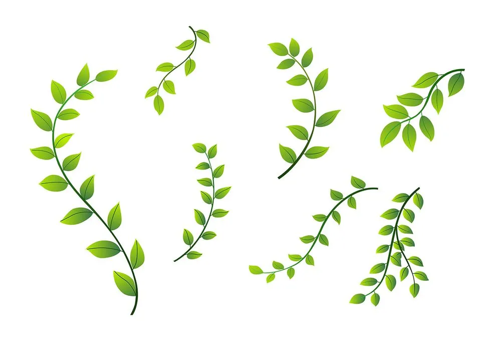 Cành Lá Xanh Tươi – Bộ Hình Minh Họa Vector EPS Đa Dạng