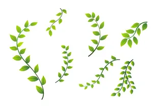 Cành Lá Xanh Tươi – Bộ Hình Minh Họa Vector EPS Đa Dạng