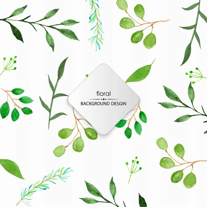 Cành Lá Xanh Minh Họa Watercolor – EPS Vector Cho Thiết Kế Đa Dụng