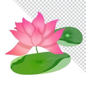 Hình ảnh bông hoa sen cùng lá sen file PNG mẫu CR1627