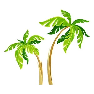 Hình ảnh cây dừa file vector mẫu KS667