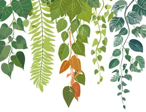 Cành Lá Xanh Tươi Trang Trí, Hình Minh Họa Vector EPS