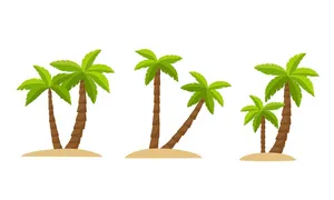 Hình ảnh cây dừa file vector mẫu KS609