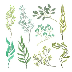 Cành Lá Minh Họa Vector EPS - Tuyệt Đẹp cho Thiết Kế Đồ Họa