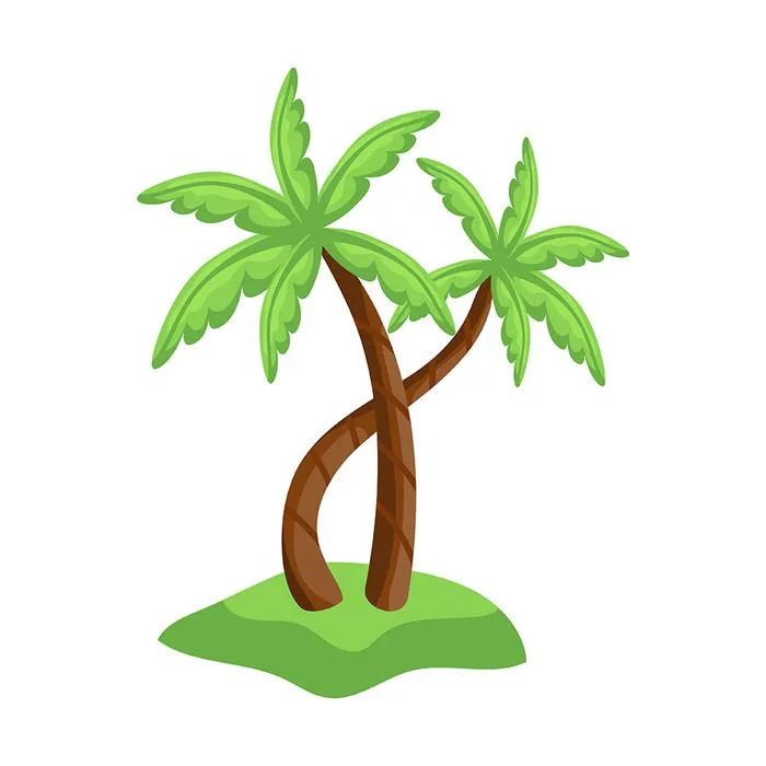 Hình ảnh cây dừa file vector mẫu KS608