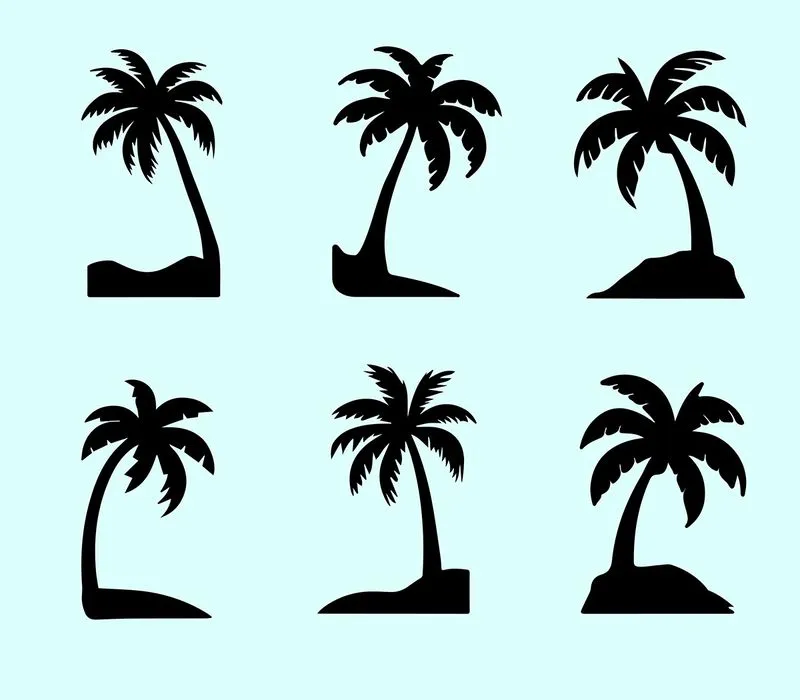 Hình ảnh cây dừa file vector mẫu KS572
