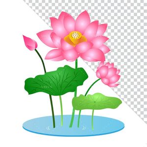 Hình ảnh bông hoa sen trong đầm file PNG mẫu CR1622