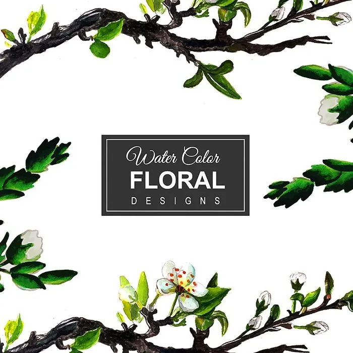 Cành Lá Và Hoa Nước Hình Minh Họa EPS Đa Năng Cho Thiết Kế