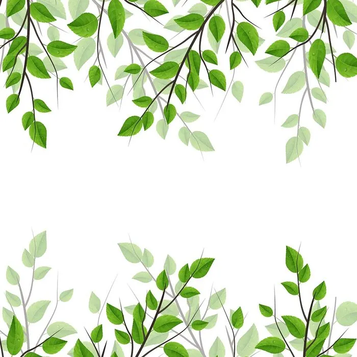 Cành Lá Xanh Tươi – Hình Minh Họa Vector EPS Đa Dụng cho Thiết Kế