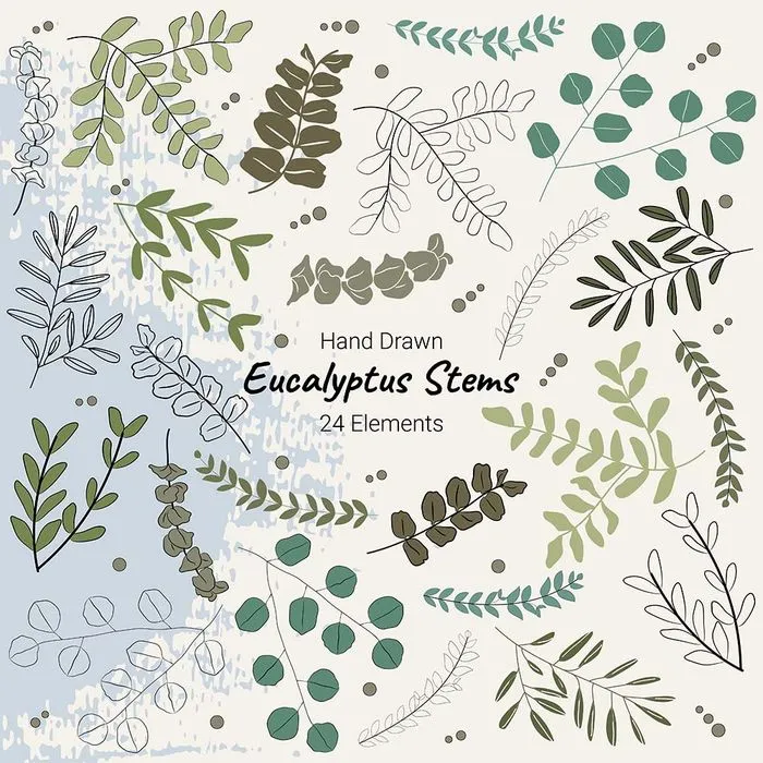 Cành Lá Bạch Đàn Vẽ Tay - 24 Yếu Tố Minh Họa Vector EPS