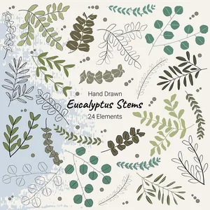 Cành Lá Bạch Đàn Vẽ Tay - 24 Yếu Tố Minh Họa Vector EPS