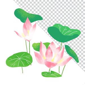 Hình ảnh hoa sen và lá sen file PNG mẫu CR1654
