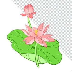 Hình ảnh bông hoa sen và lá file PNG mẫu CR1610