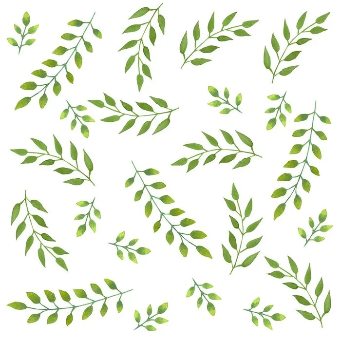 Cành Lá Xanh Minh Họa Vẽ Tay - File Vector EPS Đa Năng
