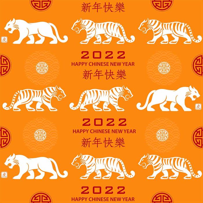 Hình ảnh chú hổ file vector mẫu CR1464