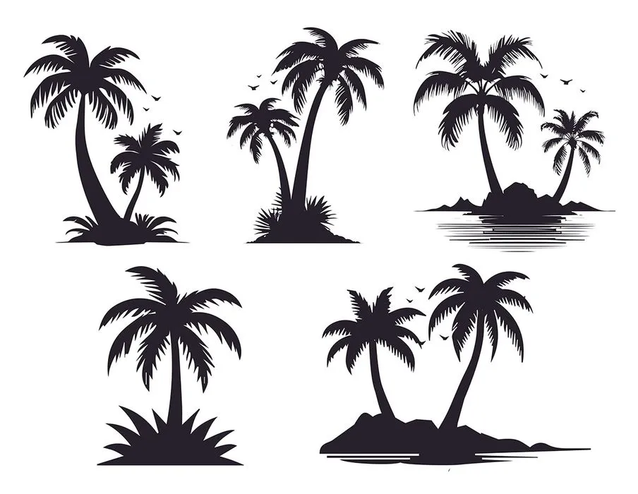 Hình ảnh cây dừa file vector mẫu KS613