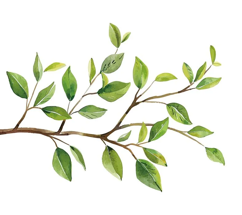 Cành Lá Xanh Tươi - Hình Minh Họa Vector EPS Độc Đáo