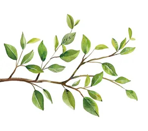 Cành Lá Xanh Tươi - Hình Minh Họa Vector EPS Độc Đáo