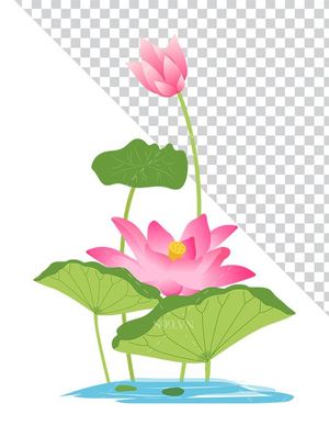 Hình ảnh bông hoa sen và lá file PNG mẫu CR1612