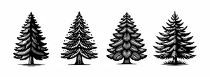 Hình ảnh cây thông file vector mẫu KS718