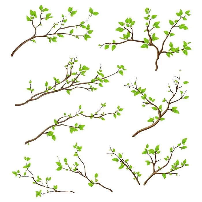 Cành Lá Mùa Xuân Vector - Bộ Sưu Tập Cành Cây Và Lá Tươi Mát