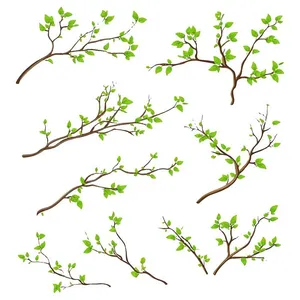 Cành Lá Mùa Xuân Vector - Bộ Sưu Tập Cành Cây Và Lá Tươi Mát