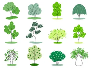 Bộ sưu tập cây xanh file vector mẫu KK20