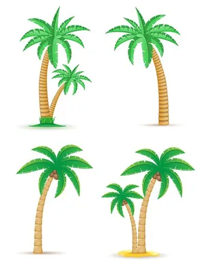 Hình ảnh cây dừa file vector mẫu KS606