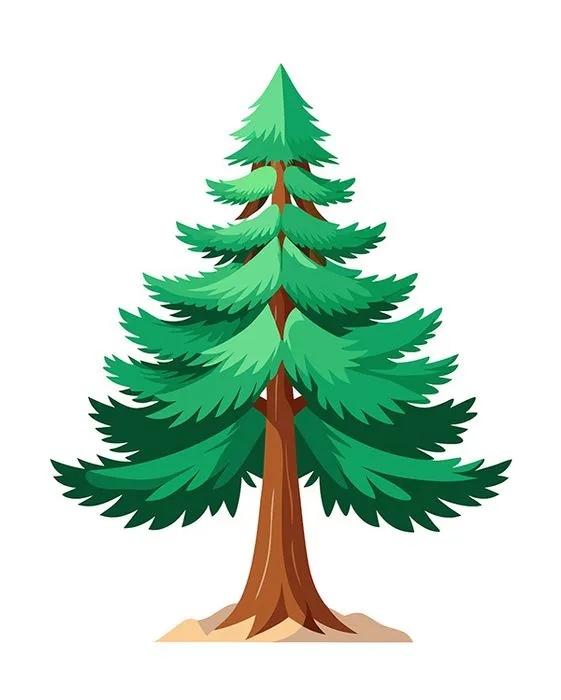 Hình ảnh cây thông file vector mẫu KS748