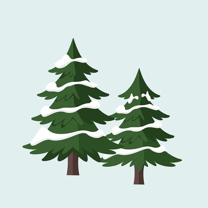 Hình ảnh cây thông file vector mẫu KS726