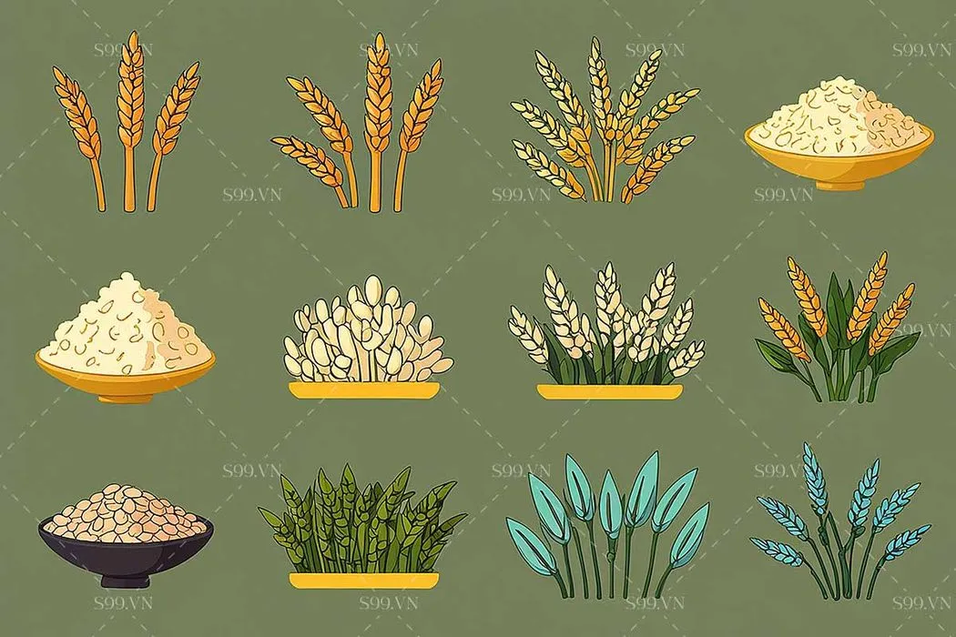 Hình minh họa lúa gạo file JPG mẫu KS916