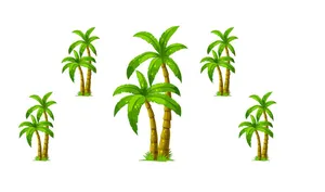 Hình ảnh cây dừa file vector mẫu KS576