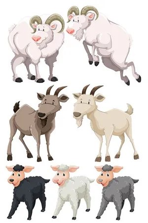 Hình ảnh chú dê file vector mẫu KS508
