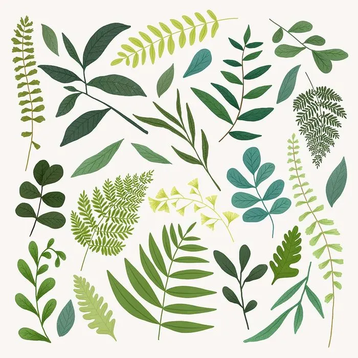 Cành Lá Xanh Minh Họa - Bộ Sưu Tập Thiết Kế Đồ Họa Đa Dạng