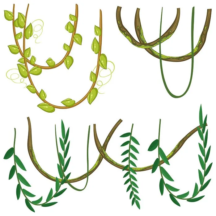 Cành Lá, Dây Leo Hoạt Hình Minh Họa Đa Dạng - File EPS Vector