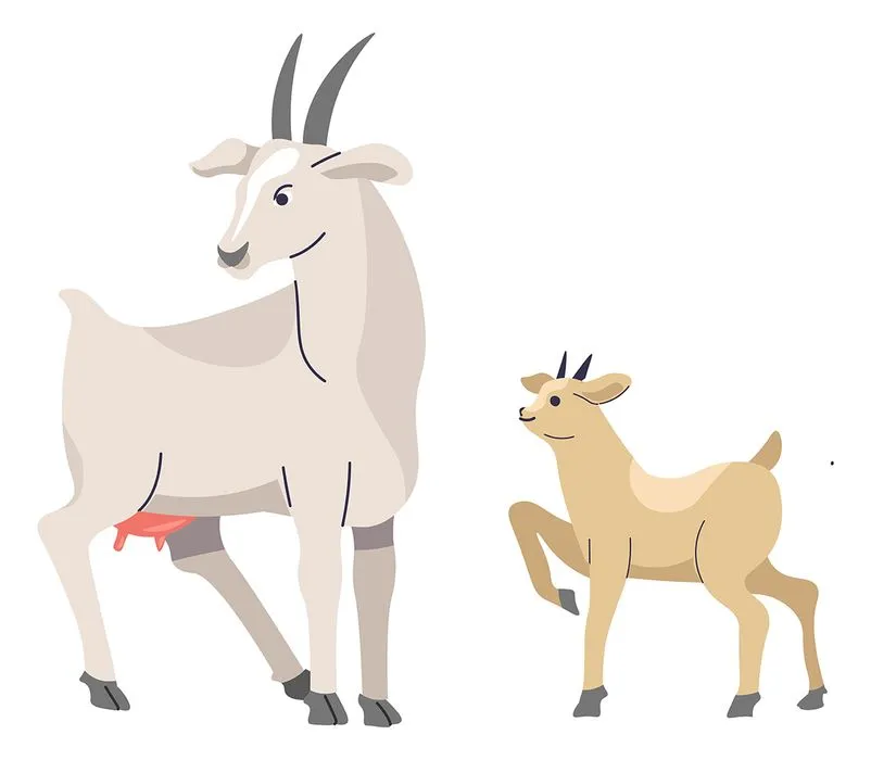 Hình ảnh hai mẹ con dê file vector mẫu KS476