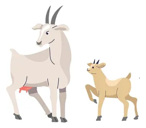 Hình ảnh hai mẹ con dê file vector mẫu KS476