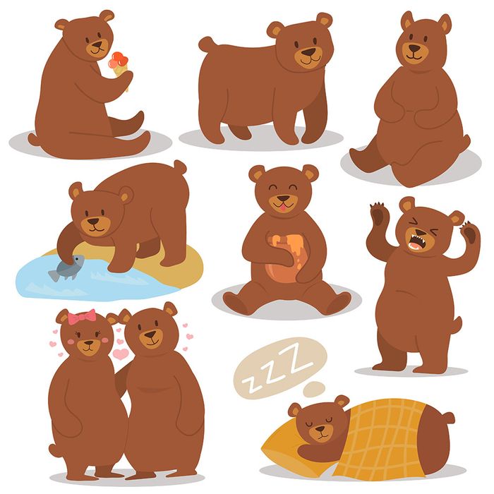 Bộ sưu tập hình ảnh chú gấu cute file vector mẫu CR59