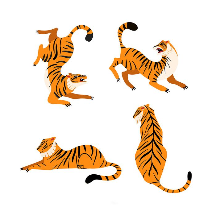 Bộ sưu tập hành động của chú hổ file vector mẫu CR1468