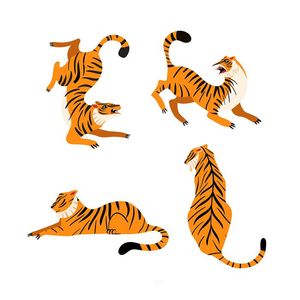 Bộ sưu tập hành động của chú hổ file vector mẫu CR1468