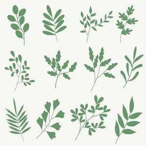 Bộ Sưu Tập Cành Lá Minh Họa EPS – Thiết Kế Tự Nhiên, Đa Dạng