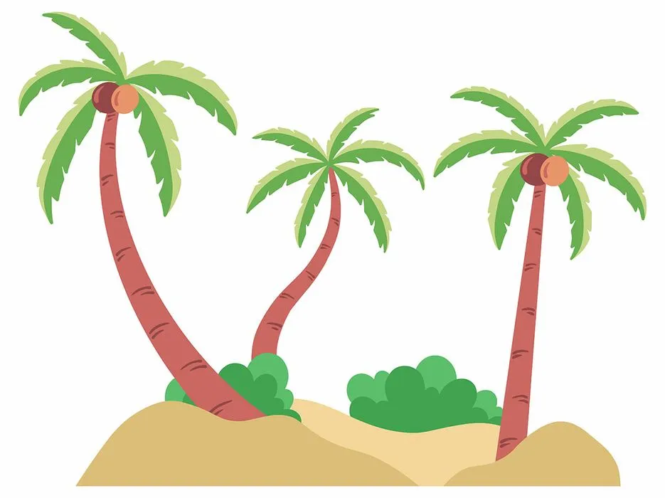 Hình ảnh cây dừa file vector mẫu KS655