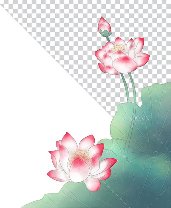 Hình ảnh bông hoa sen màu hồng và lá file PNG mẫu CR1617