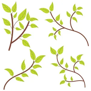 Cành Lá Xanh Tươi - Bộ Hình Minh Họa Vector EPS Đa Năng Cho Thiết Kế