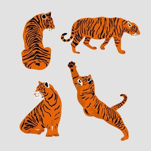 Hình minh họa chú hổ màu vàng file vector mẫu CR1447