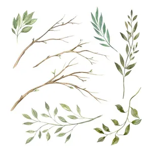 Cành Lá Xanh Tươi - Bộ Minh Họa EPS Vector Tự Nhiên, Dễ Chỉnh Sửa