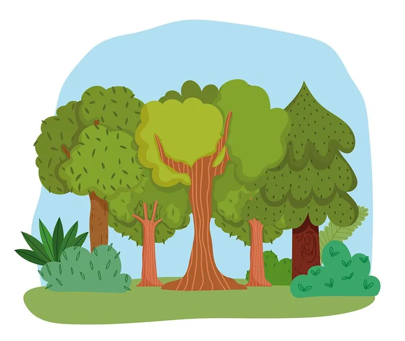 Hình ảnh rừng cây xanh file vector mẫu KK63
