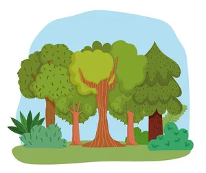 Hình ảnh rừng cây xanh file vector mẫu KK63